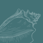 Default Business Logo