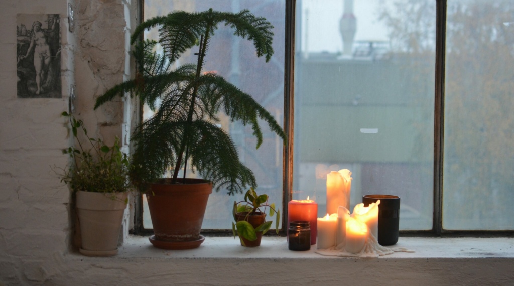 Plants and candles on a window ledge