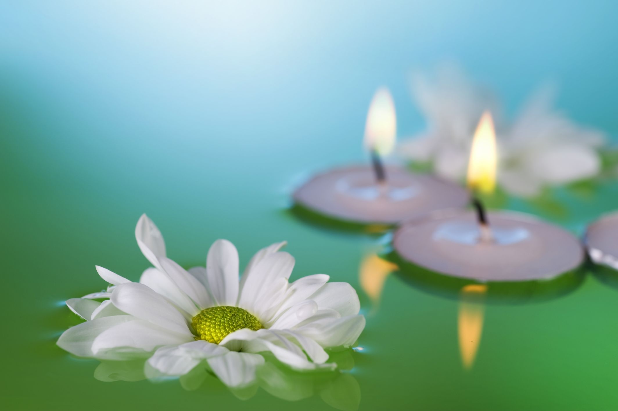 Elvis fan in an Elvis Casket