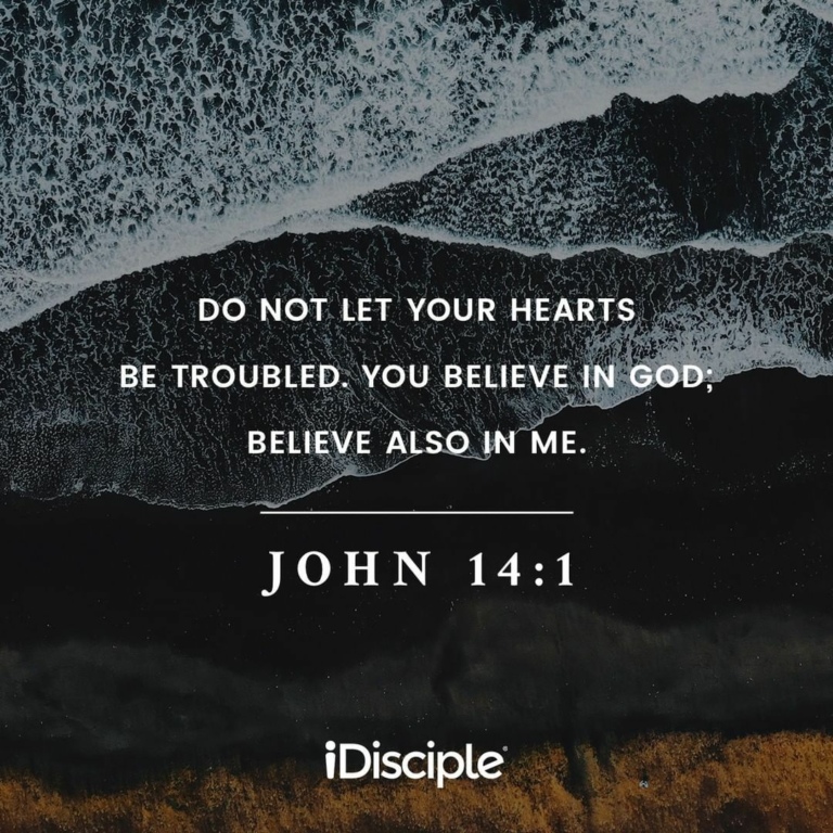 Do not let your hearts be troubled