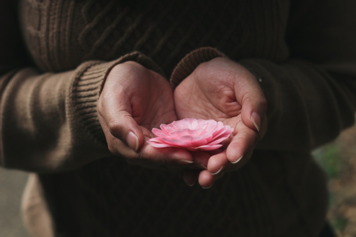 Hands holding Lotus flower