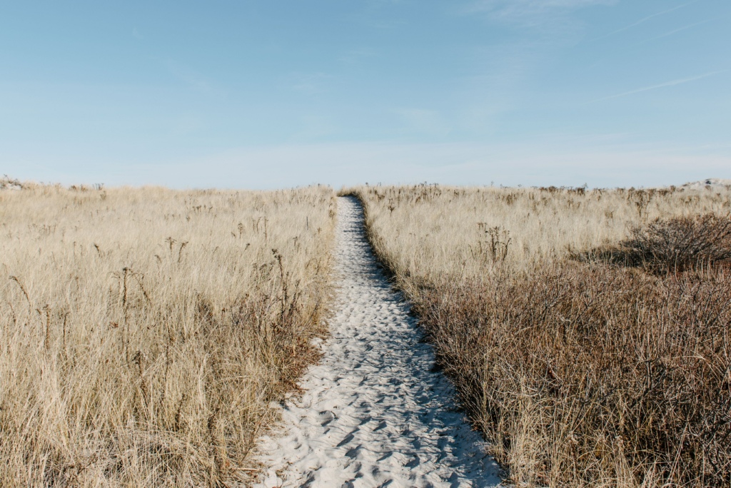 Beach Pathway