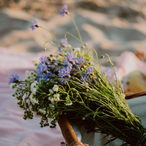 Wildflowers