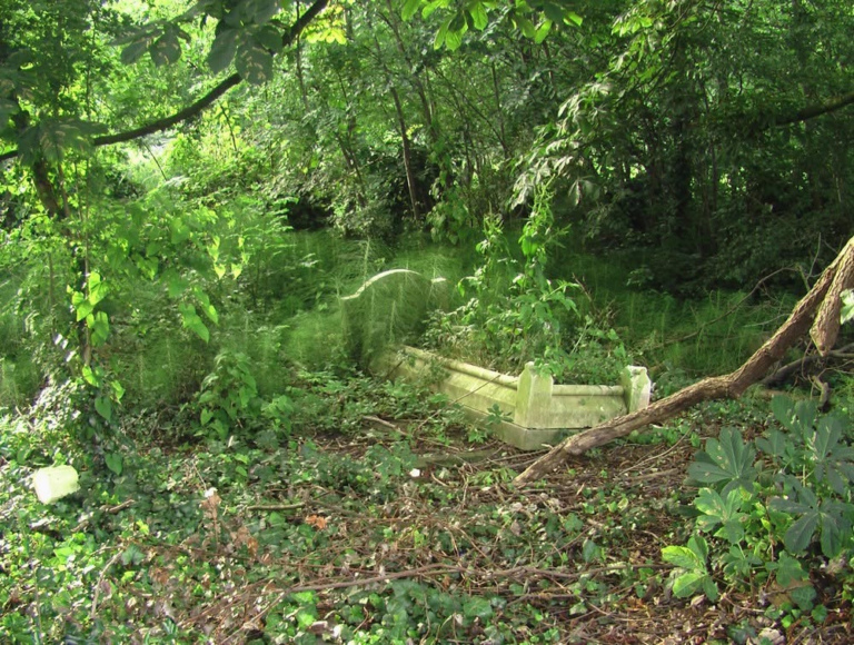 Image of an overgrown grave